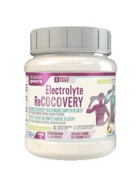 ELECTROLYTE RECOVERY BOTE 450GR (SPORTS)